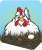 Играть ChickenShuffle