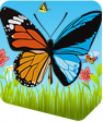 Jugar Butterflies Starter